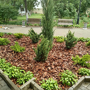 Хвойная мульча в Коломне купить - оперативная доставка по всей России