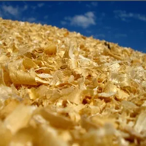 Опилки оптом в Коломне купить - оперативная доставка по всей России