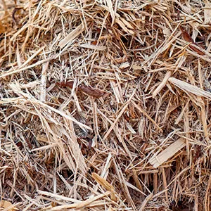 Щепа для арболита оптом в Коломне и других различных марок заказать от 16 тонн