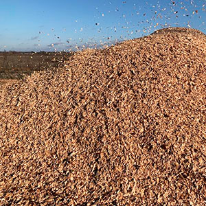 Щепа топливная оптом в Коломне доставка по РФ Щепа топливная оптом в Коломне от завода-производителя Лигнум Ресурс