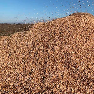 Щепа топливная оптом в Коломне от завода-производителя Лигнум Ресурс